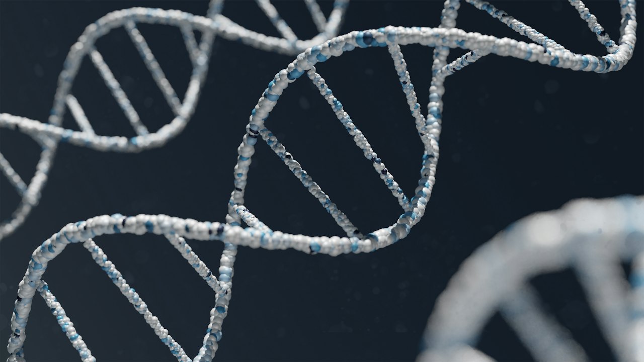 A DNA double helix